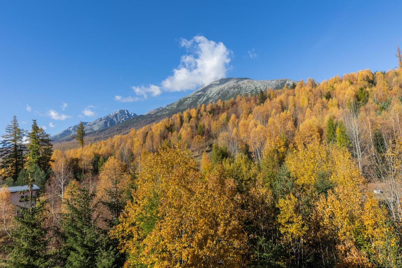 Vila Vlasta Apt. #401 Wysokie Tatry Zewnętrze zdjęcie